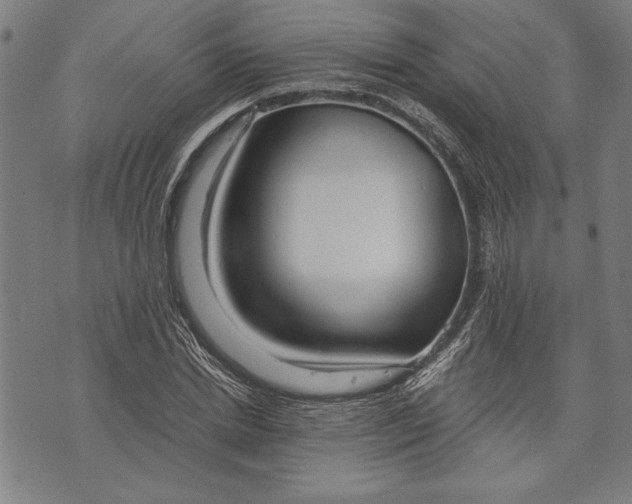 X0000073720830200608241230