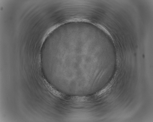 X0000073720831200608241230