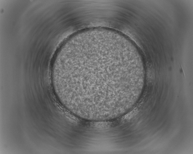 X0000073720832200608241230