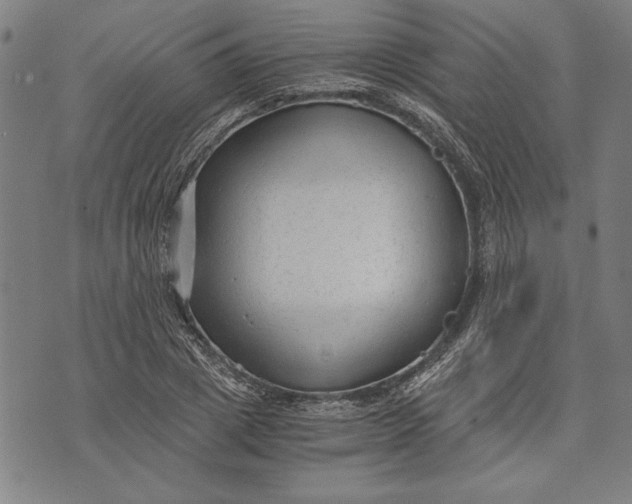 X0000073720833200608241230