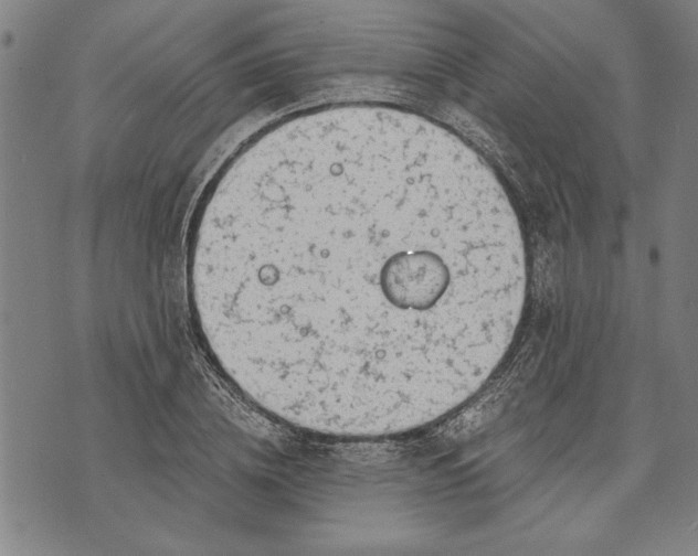 X0000073720836200608241230