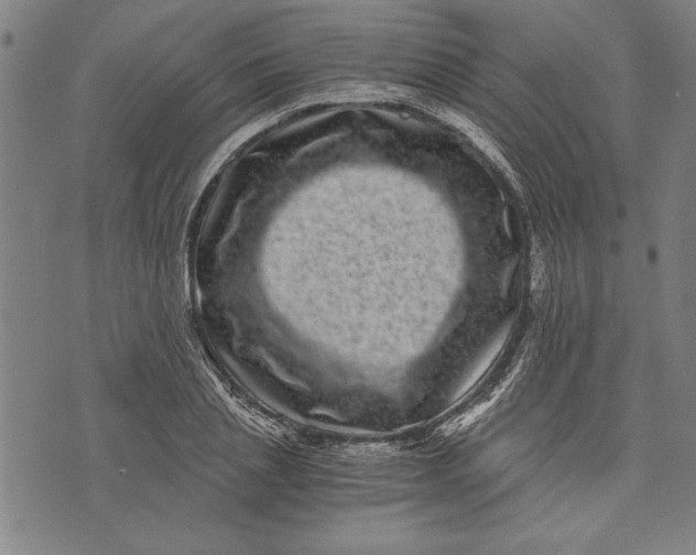 X0000073720837200608241230