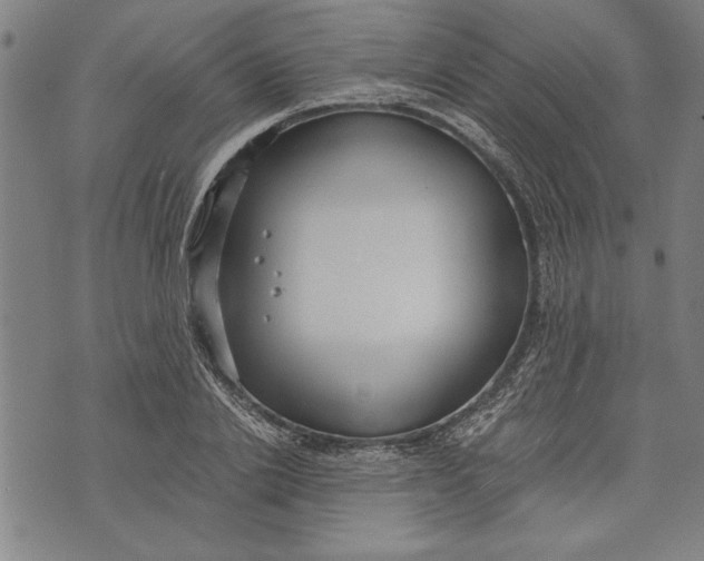 X0000073720838200608241230