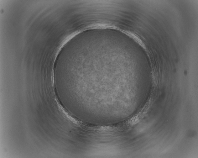 X0000073720839200608241230