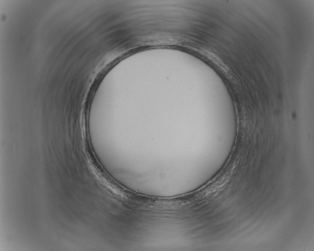 X0000073720840200608241230