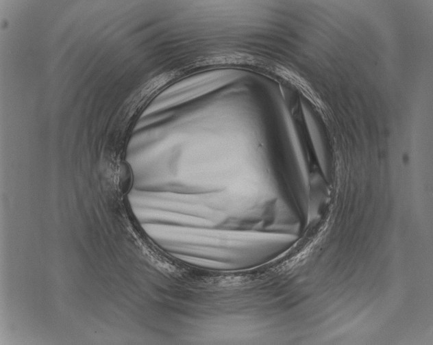 X0000073720841200608241230