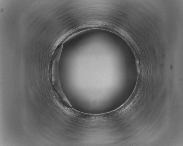 X0000073720842200608241230