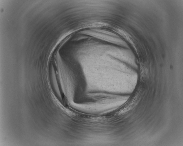 X0000073720843200608241230