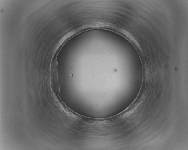 X0000073720845200608241230