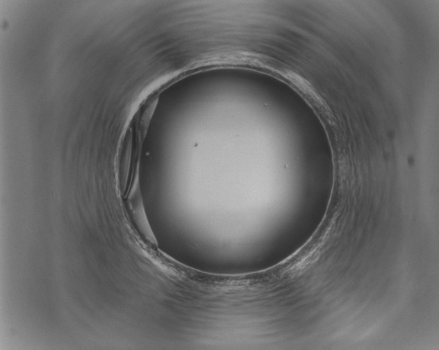 X0000073720846200608241230