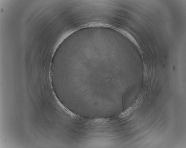 X0000073720847200608241230