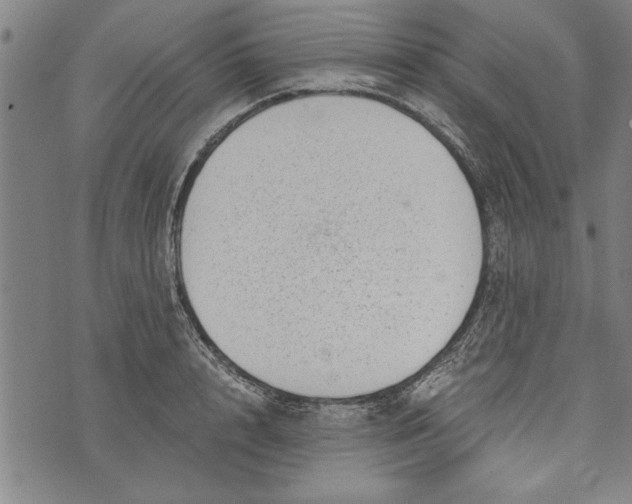 X0000073720848200608241230