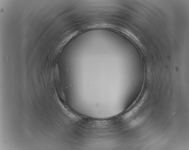 X0000073720849200608241230