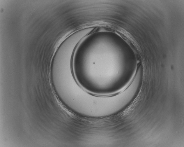 X0000073720850200608241230