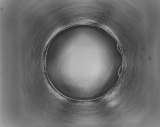 X0000073720851200608241230