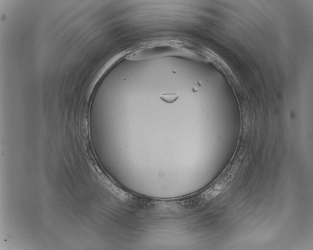 X0000073720852200608241230