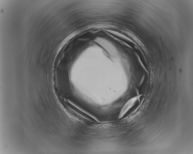 X0000073720853200608241230