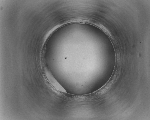 X0000073720854200608241230