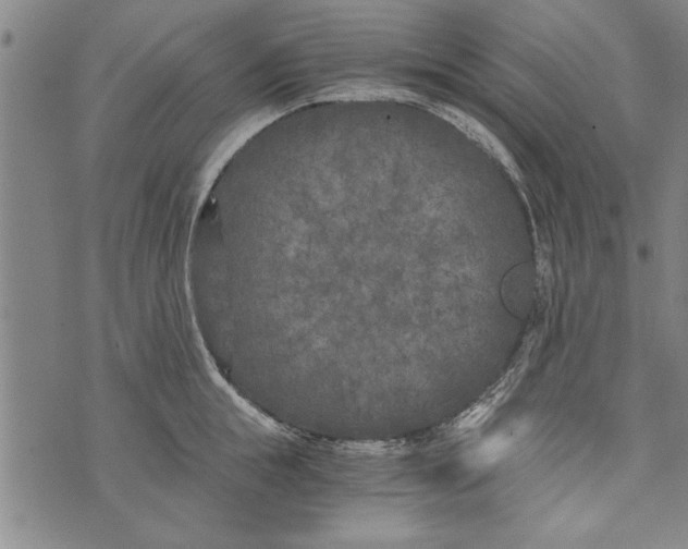 X0000073720855200608241230