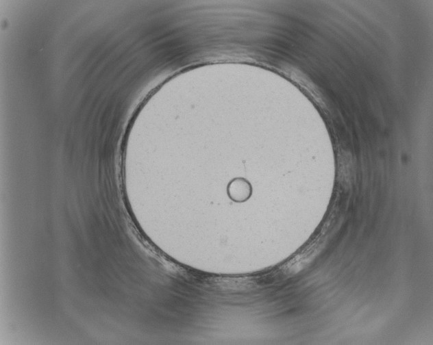 X0000073720856200608241230