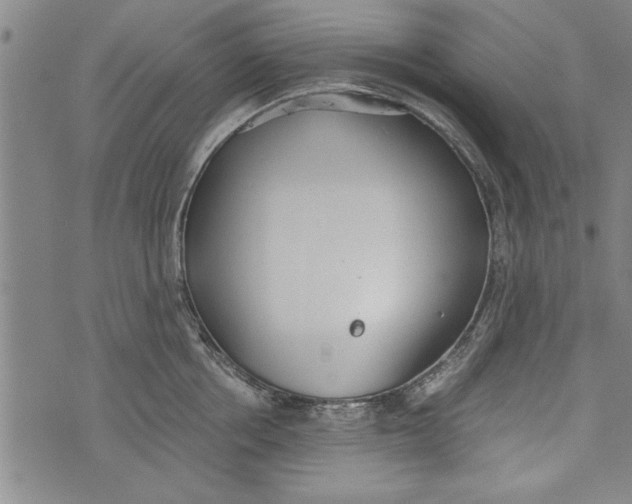 X0000073720858200608241230