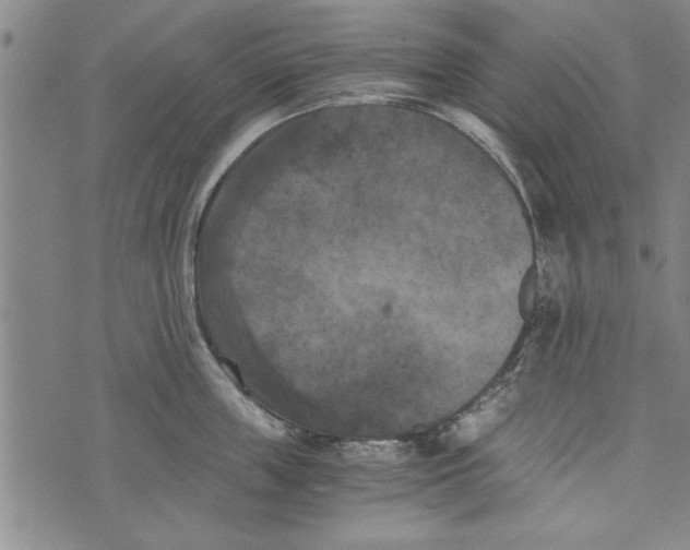 X0000073720859200608241230