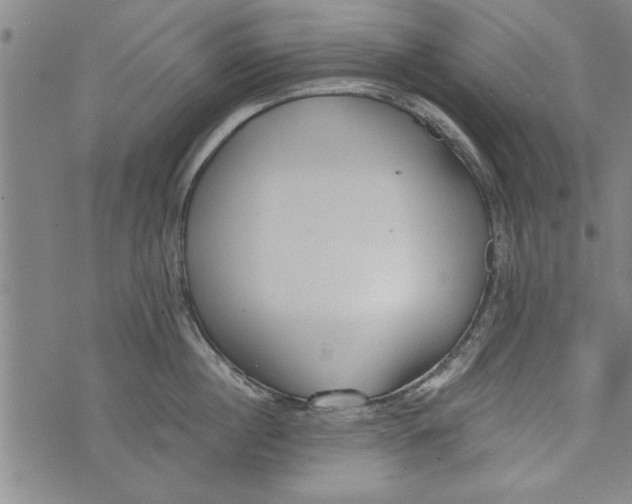 X0000073720860200608241230