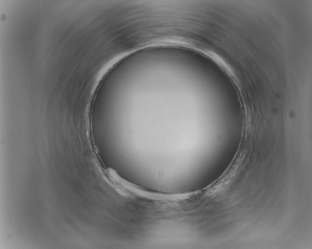 X0000073720862200608241230