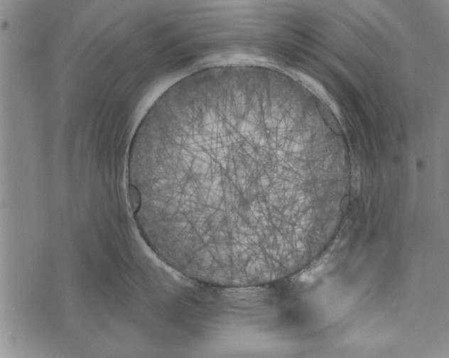 X0000073720863200608241230