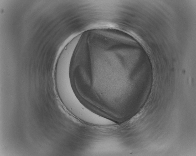 X0000073720864200608241230