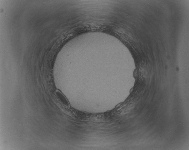 X0000073720865200608241229