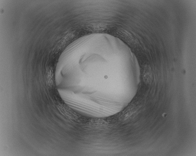 X0000073720866200608241229