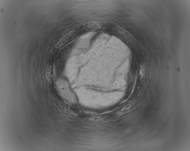 X0000073720867200608241229