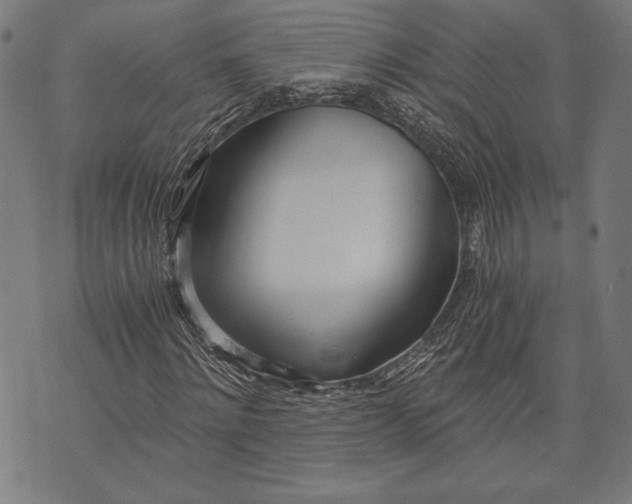 X0000073720868200608241229