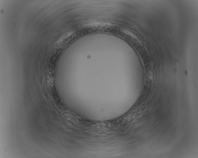 X0000073720869200608241229