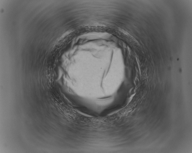 X0000073720870200608241229