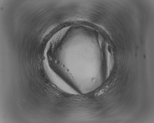 X0000073720871200608241229