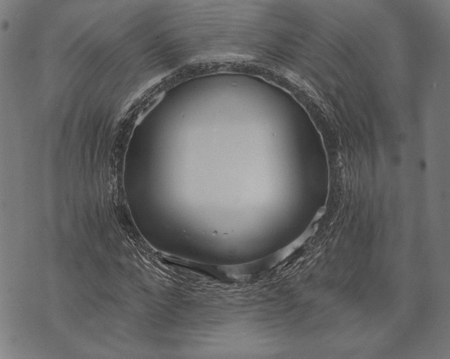 X0000073720872200608241229