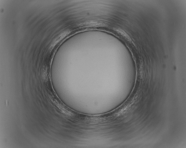 X0000073720873200608241229