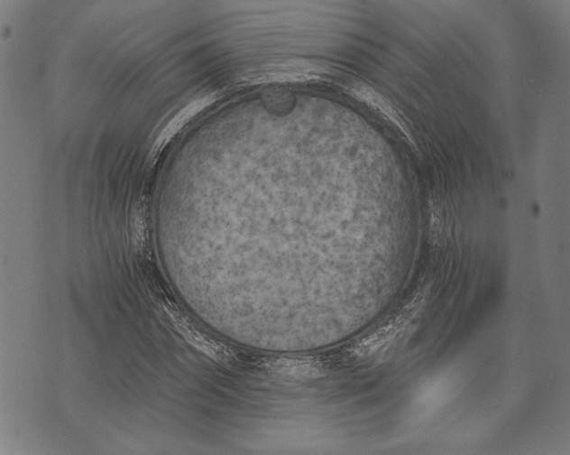 X0000073720874200608241229