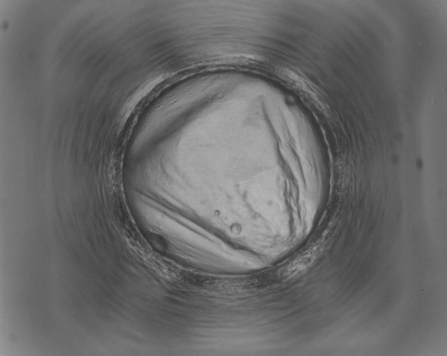 X0000073720875200608241229