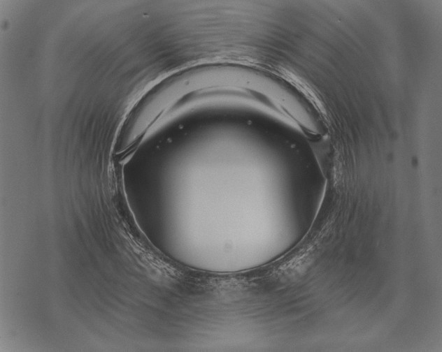 X0000073720876200608241229