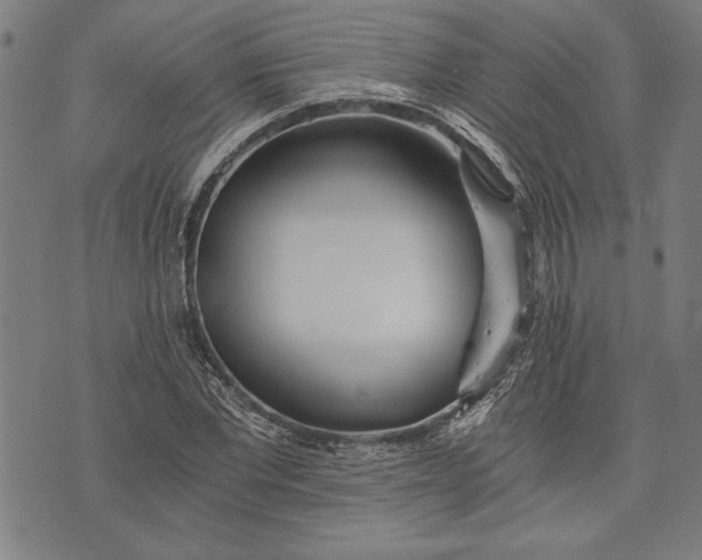 X0000073720877200608241229