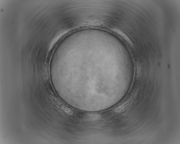 X0000073720878200608241229