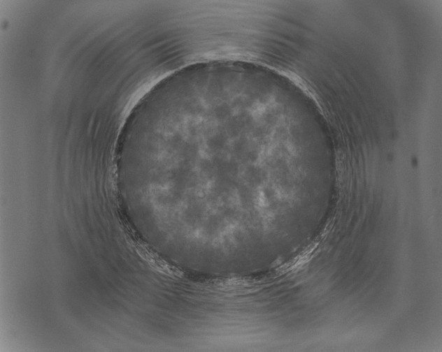 X0000073720879200608241229