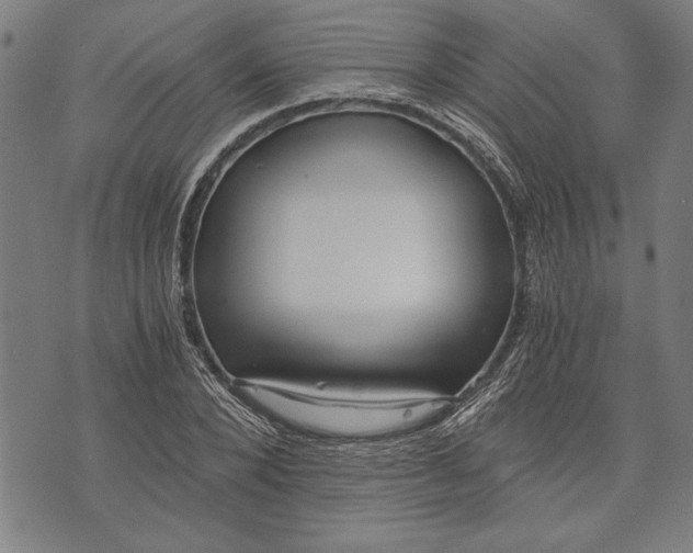 X0000073720880200608241229