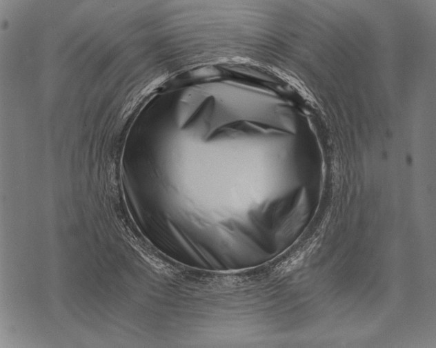 X0000073720881200608241229