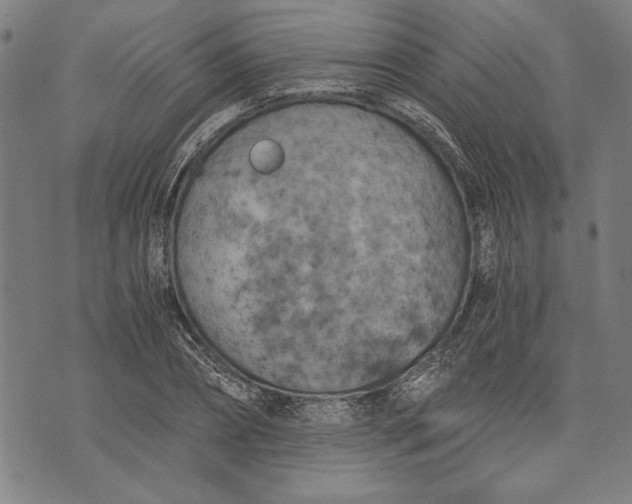 X0000073720882200608241229