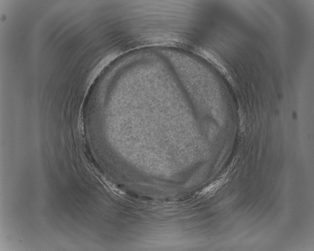 X0000073720883200608241229