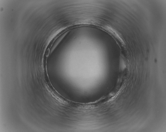 X0000073720884200608241229